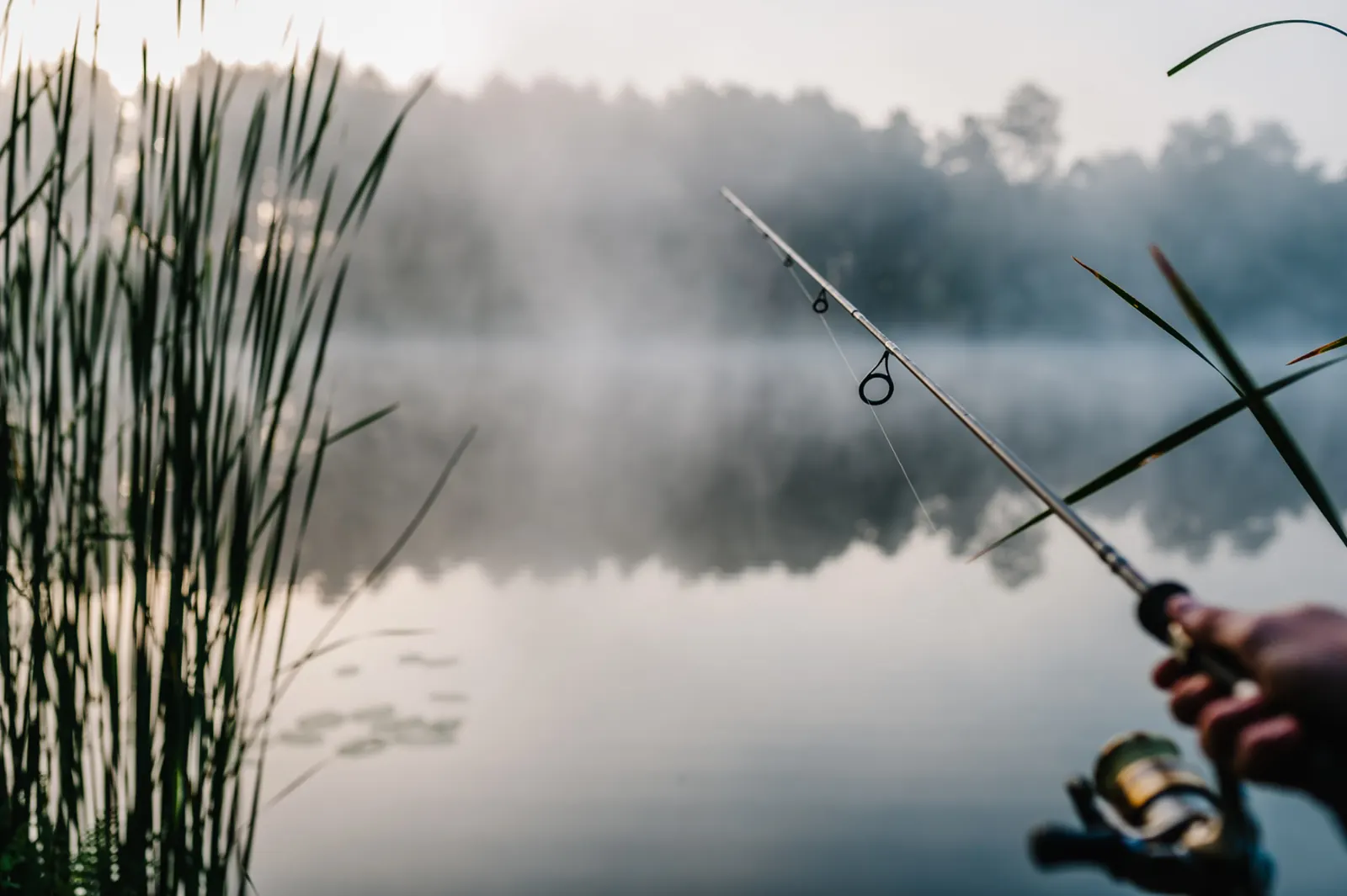 Angler holding a rod over a misty lake at sunrise